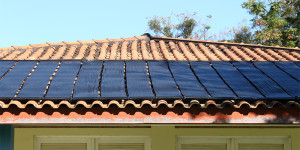 Projeto Propolis